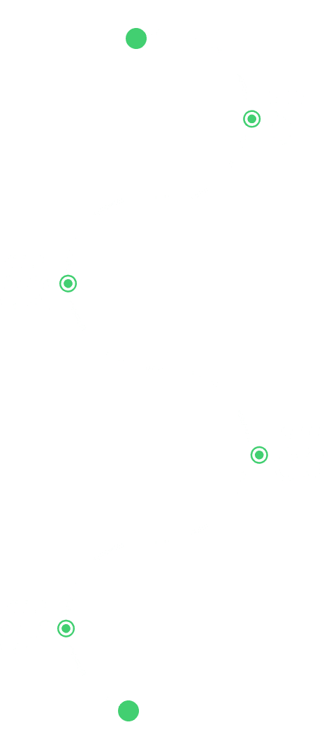 Our working process steps